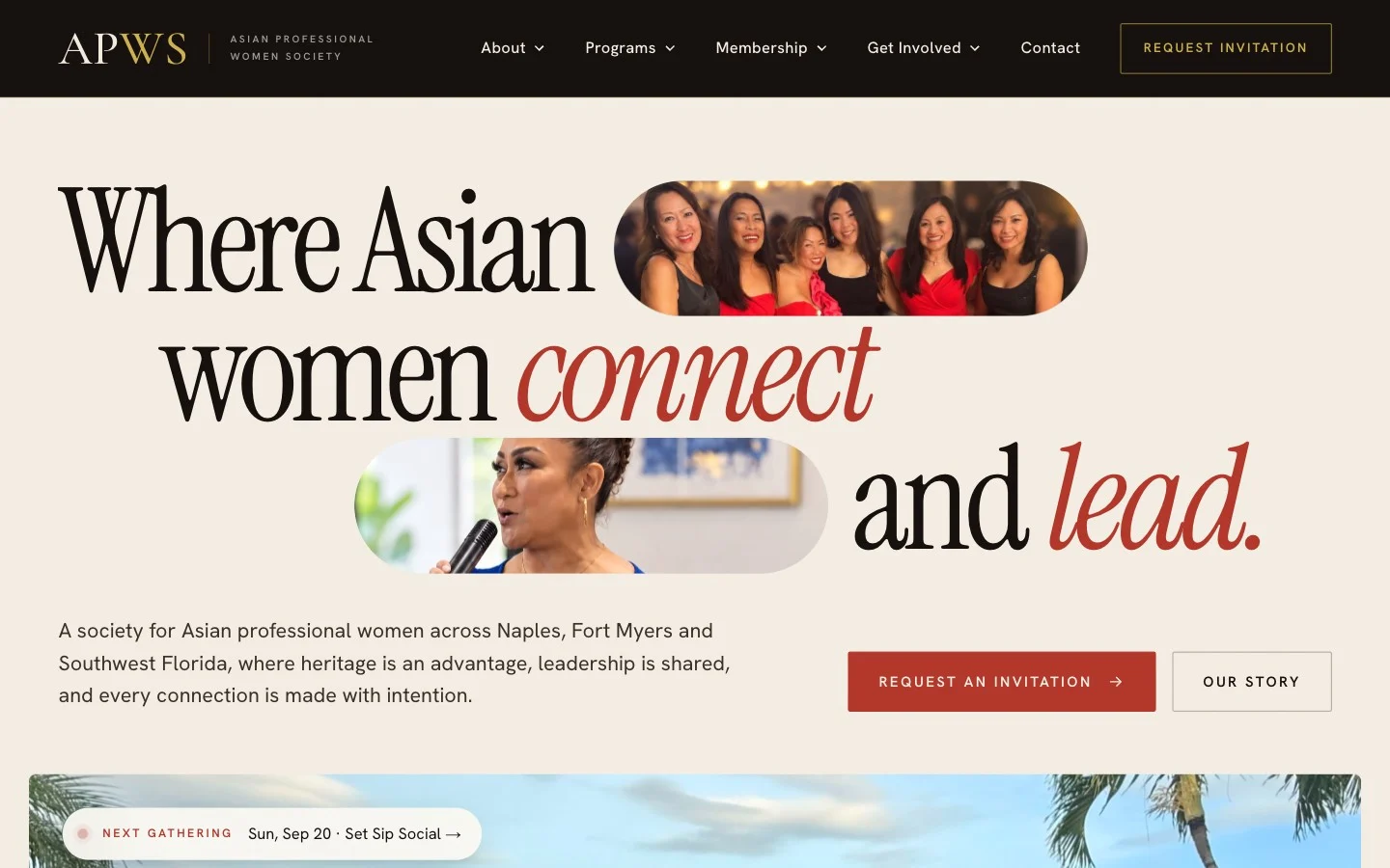 APWS community organization website homepage preview